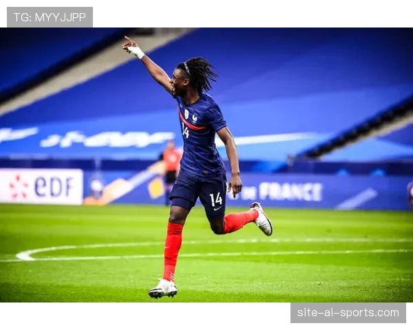 卡马文加与楚阿梅尼的后腰角色分化：谁更契合法国队战术体系？